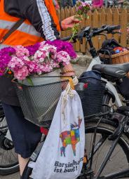 Bartnelken in einem Eimer auf einem Fahrrad-Gepäckträger