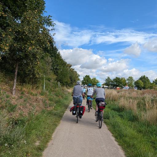 Radelnde unterwegs auf einem Radweg im Grünen