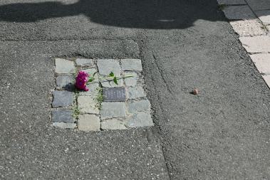 Stolperstein in Barsinghausen