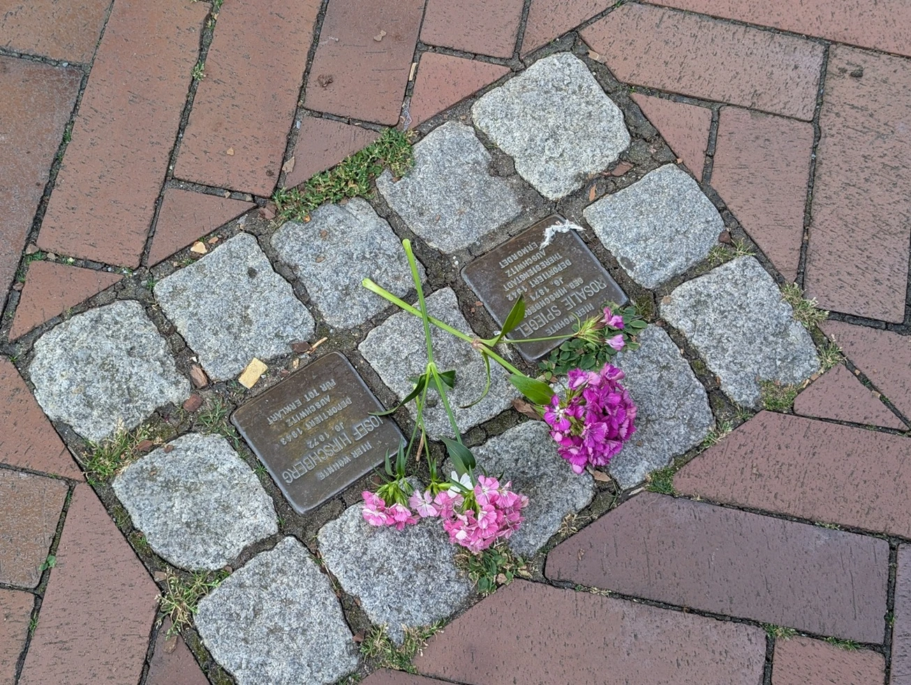 Zwei Stolpersteine mit Blumen in der Mitte