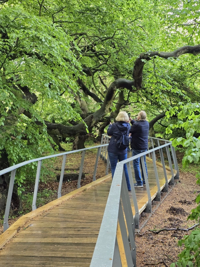 Unterwegs im Wald bei der Landesgartenschau